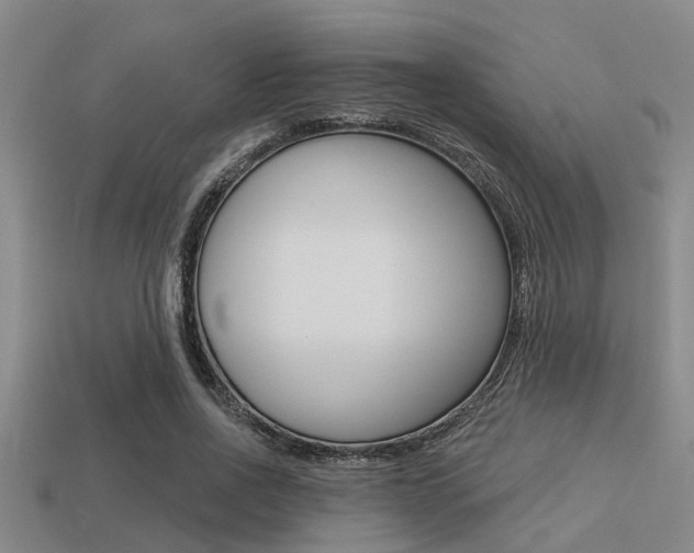 X0000113300734200909140945