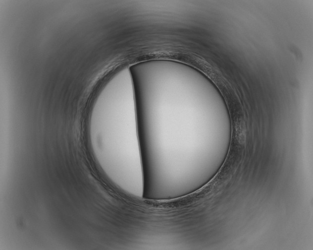 X0000113300735200909140945