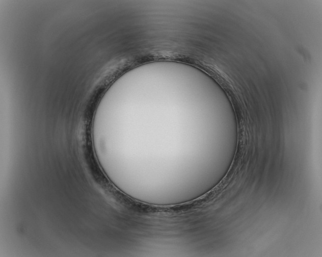 X0000113300738200909140945