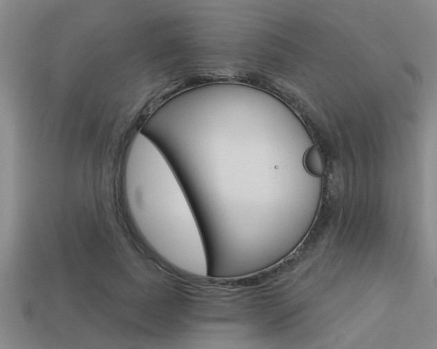 X0000113300739200909140945