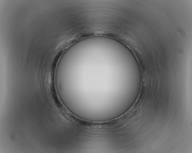 X0000113300740200909140945