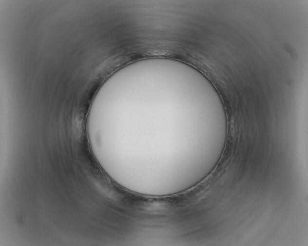 X0000113300741200909140945