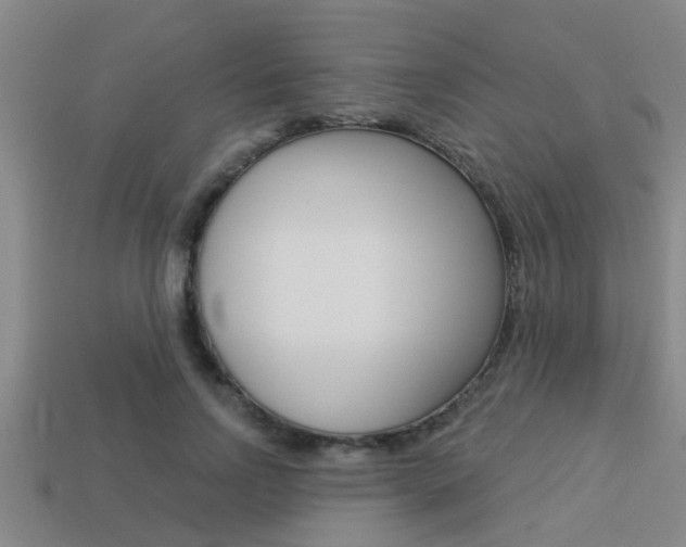 X0000113300742200909140945