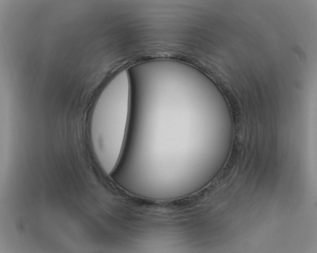 X0000113300743200909140945