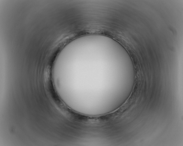 X0000113300744200909140945