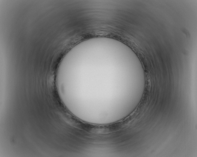 X0000113300745200909140945