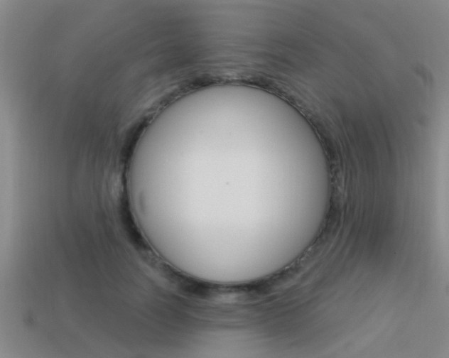 X0000113300746200909140945