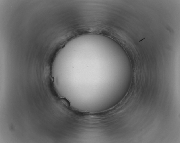 X0000113300748200909140945
