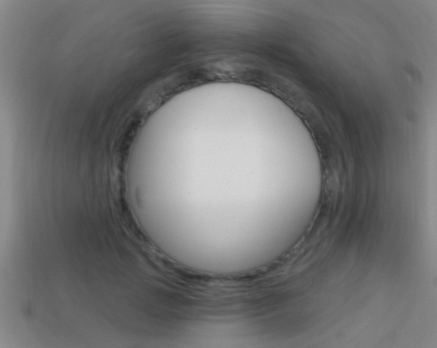 X0000113300749200909140945
