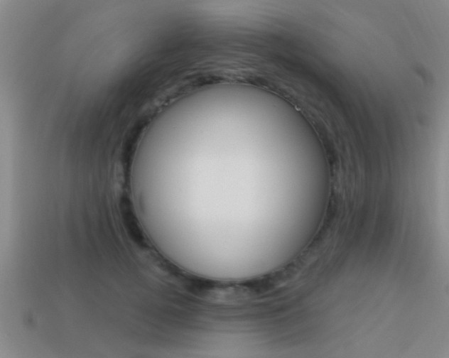 X0000113300752200909140945