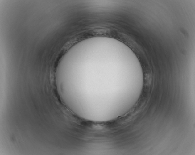 X0000113300753200909140945