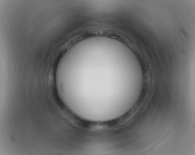 X0000113300754200909140945