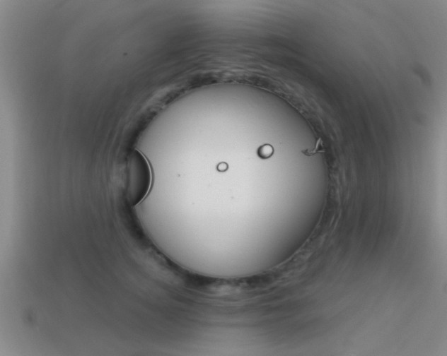 X0000113300756200909140945