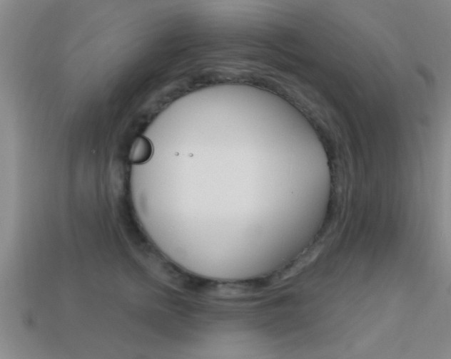 X0000113300758200909140945