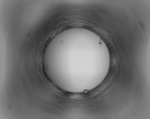 X0000113300759200909140945