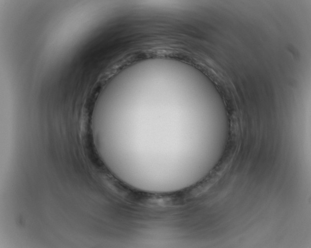 X0000113300760200909140945