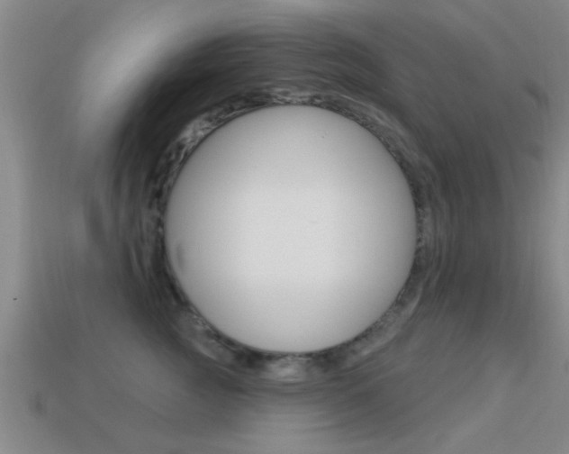 X0000113300761200909140945