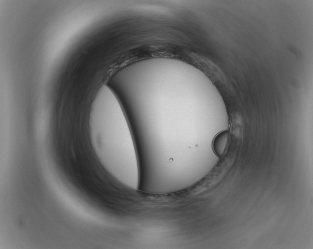 X0000113300763200909140945