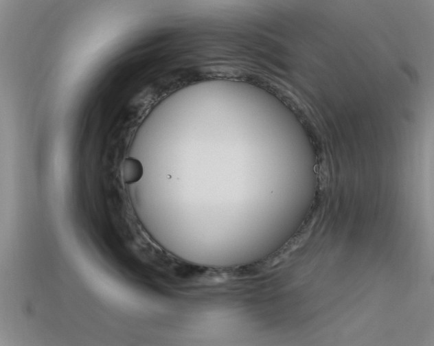 X0000113300764200909140945
