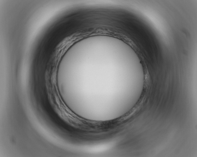 X0000113300765200909140945