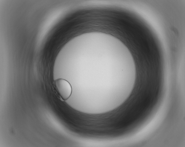 X0000113300766200909140945