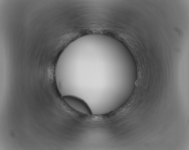 X0000113300768200909140945