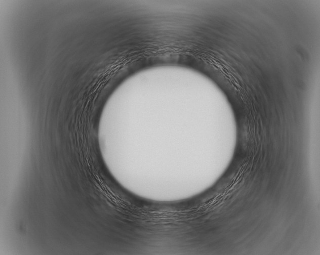 X0000113300769200909140945