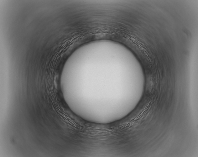 X0000113300770200909140944