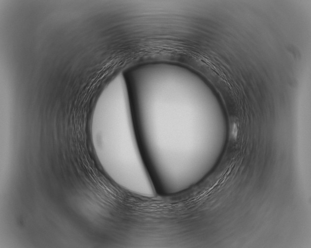 X0000113300771200909140944