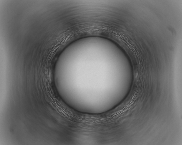 X0000113300772200909140944