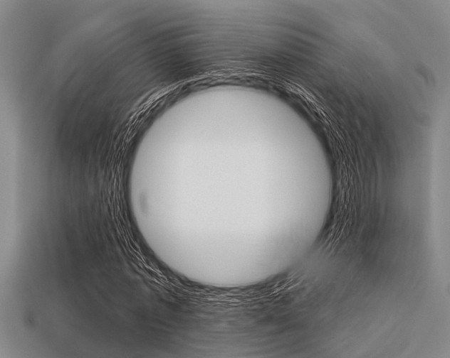X0000113300773200909140944