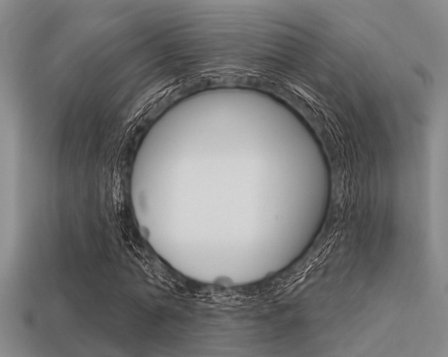 X0000113300774200909140944