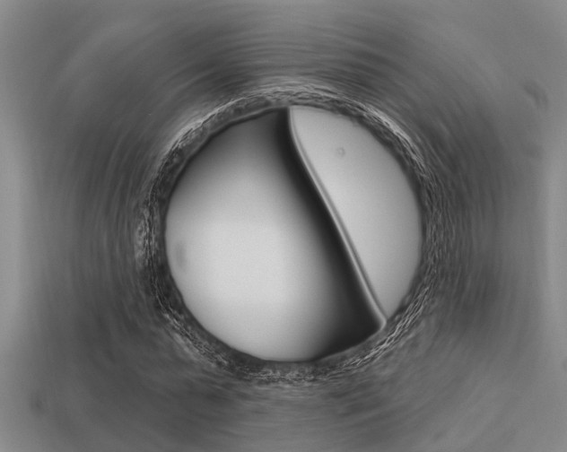 X0000113300775200909140944
