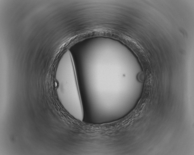 X0000113300776200909140944