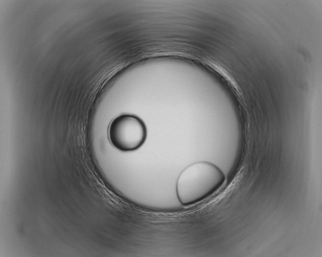 X0000113300777200909140944