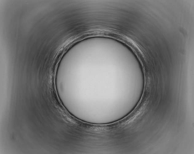 X0000113300778200909140944