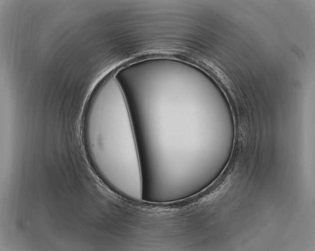 X0000113300779200909140944
