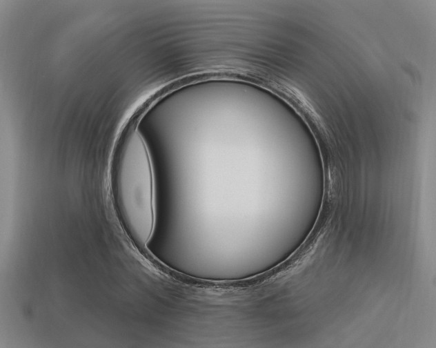 X0000113300780200909140944