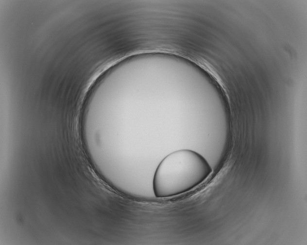 X0000113300781200909140944