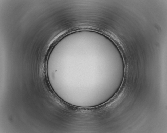 X0000113300782200909140944