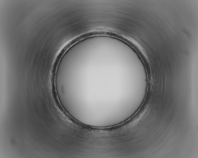 X0000113300783200909140944