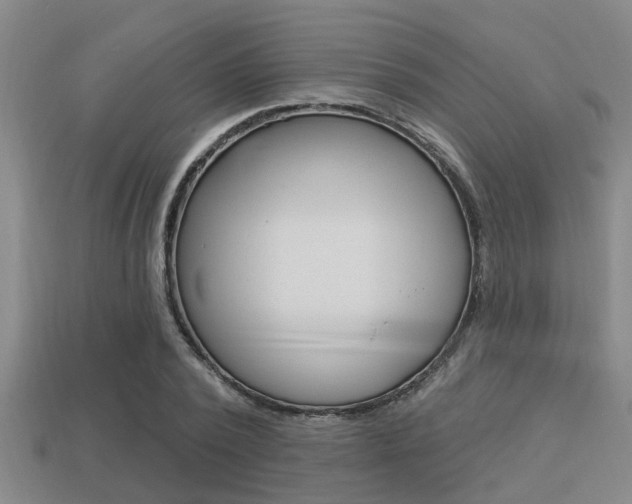 X0000113300784200909140944