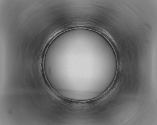 X0000113300786200909140944