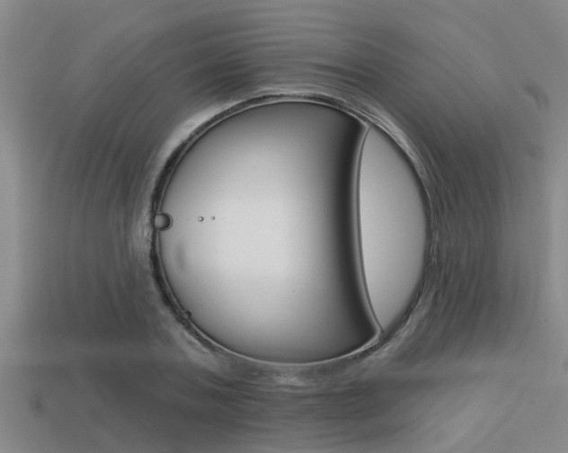 X0000113300787200909140944
