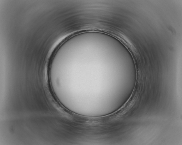 X0000113300788200909140944