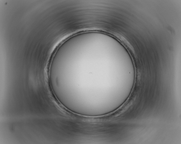 X0000113300789200909140944