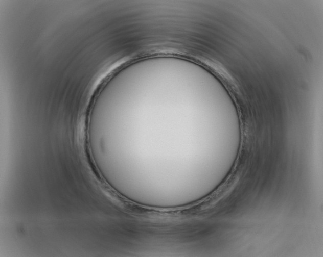 X0000113300790200909140944
