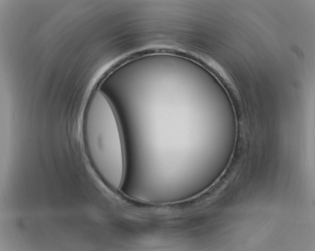 X0000113300791200909140944