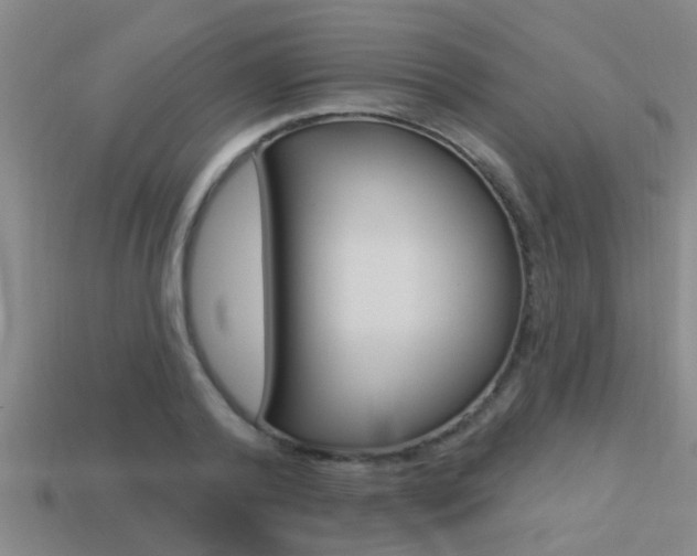 X0000113300792200909140944