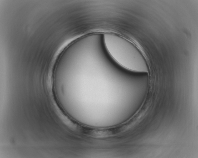 X0000113300795200909140944